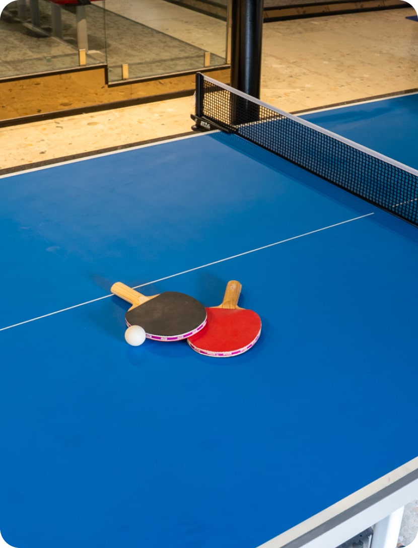 Table Tennis image 1